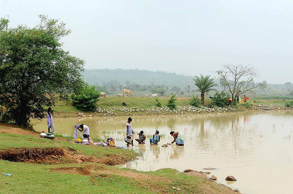 Pond (representative image)