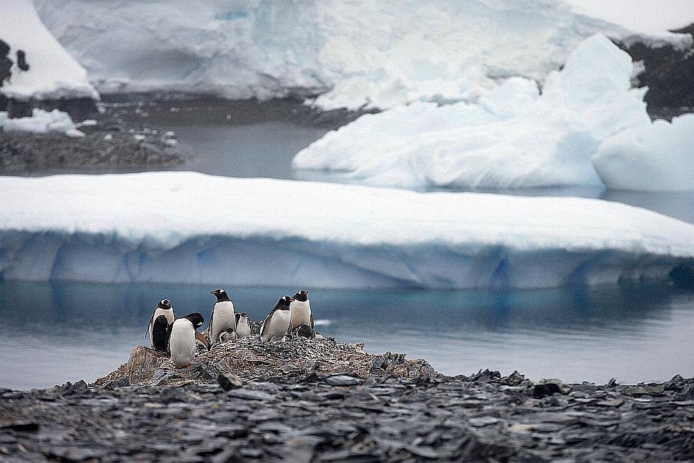 Antarctica. 
