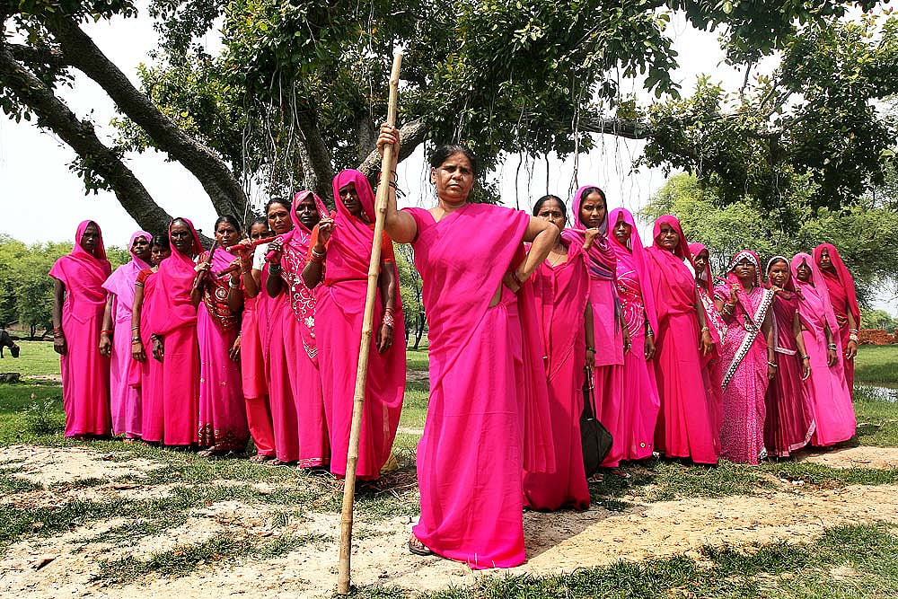 The Pink Revolutionaries