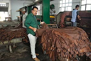 It’s Hell For Leather