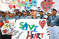 The Heart Of The Matter