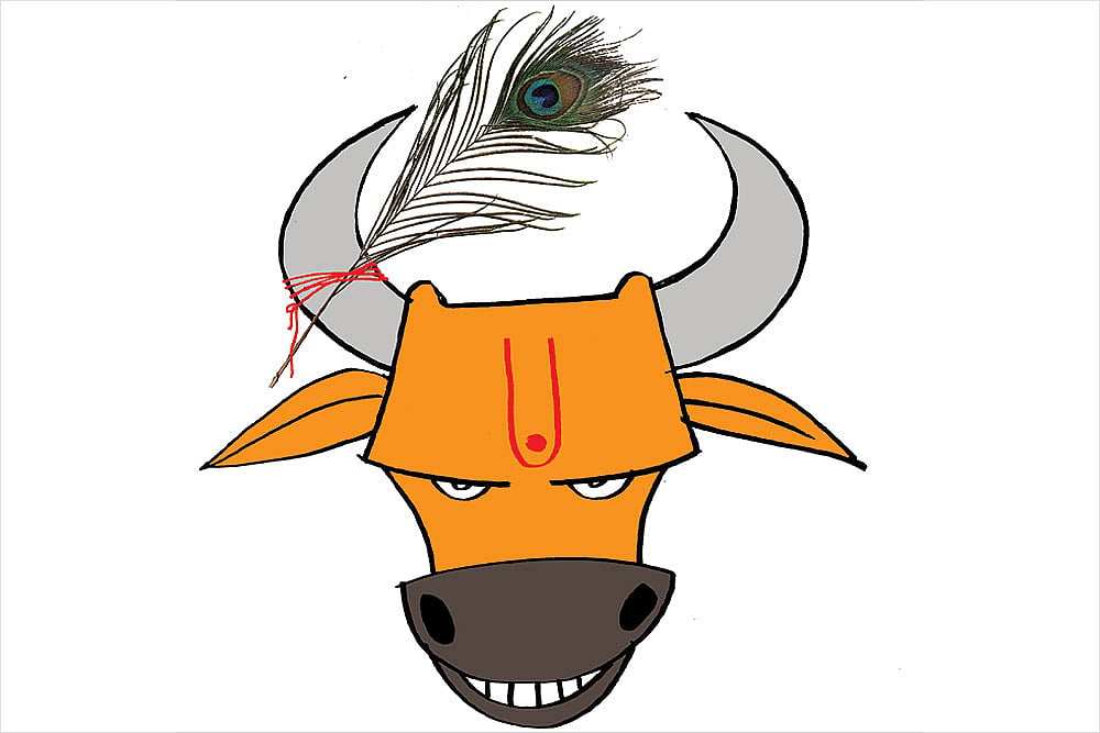 Peacock And Bull