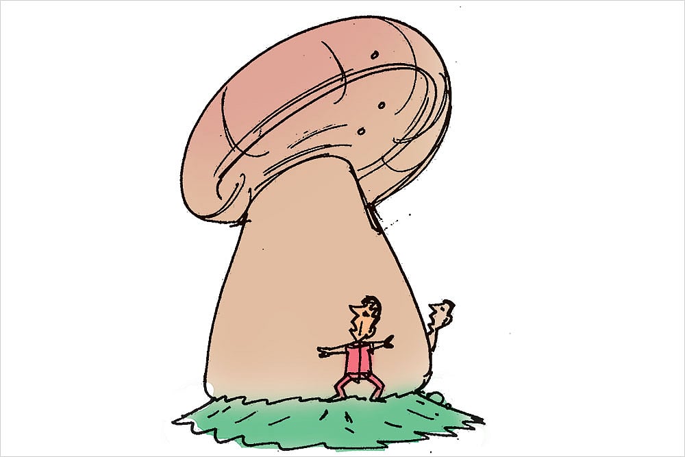 The Subcontinental Menu