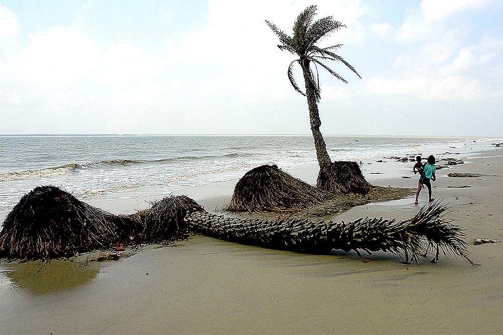 Graveyard Of A Land