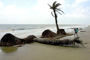 Graveyard Of A Land