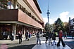 New Zealand Offers Plenty Of Job Prospects And Good Education New Zealand Offers Plenty Of Job Prospects And Good Education