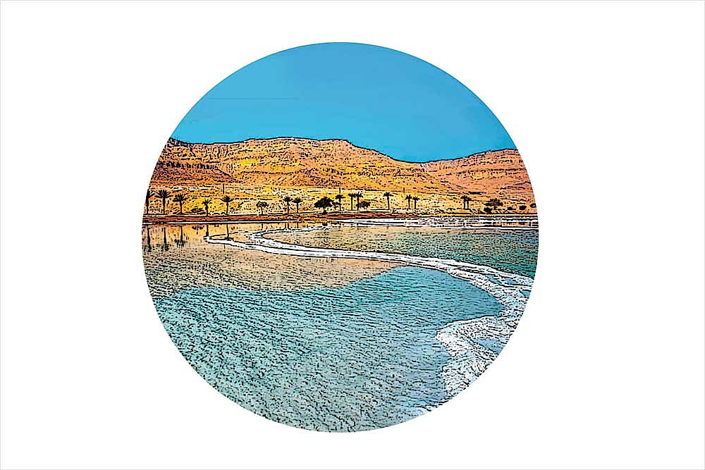 Dead Sea Diary