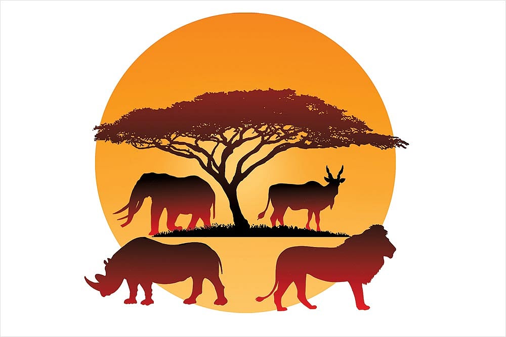 Maasai Mara Diary