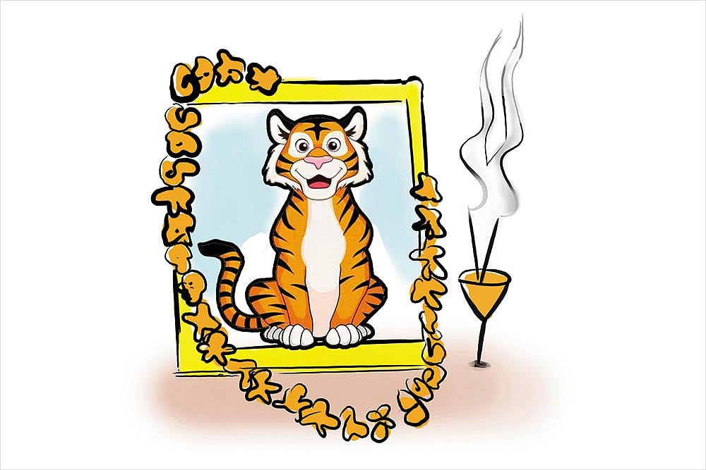 Tiger Papa