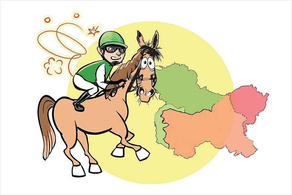 Azad Kashmir Makes Little Horse Sense