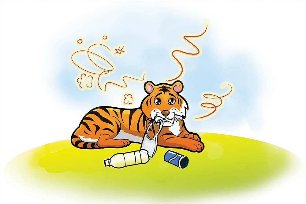 Paper Tiger, Plastic Tiger