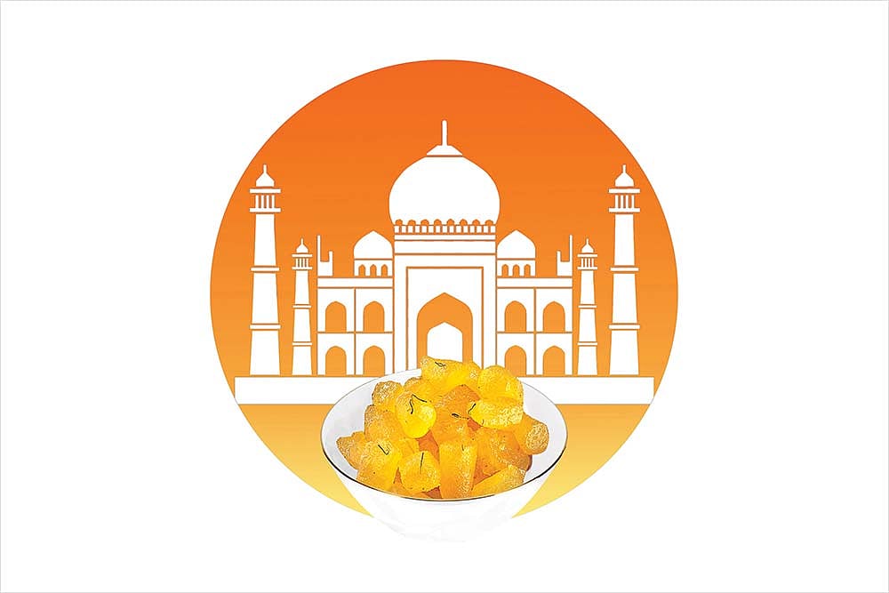 Agra Diary