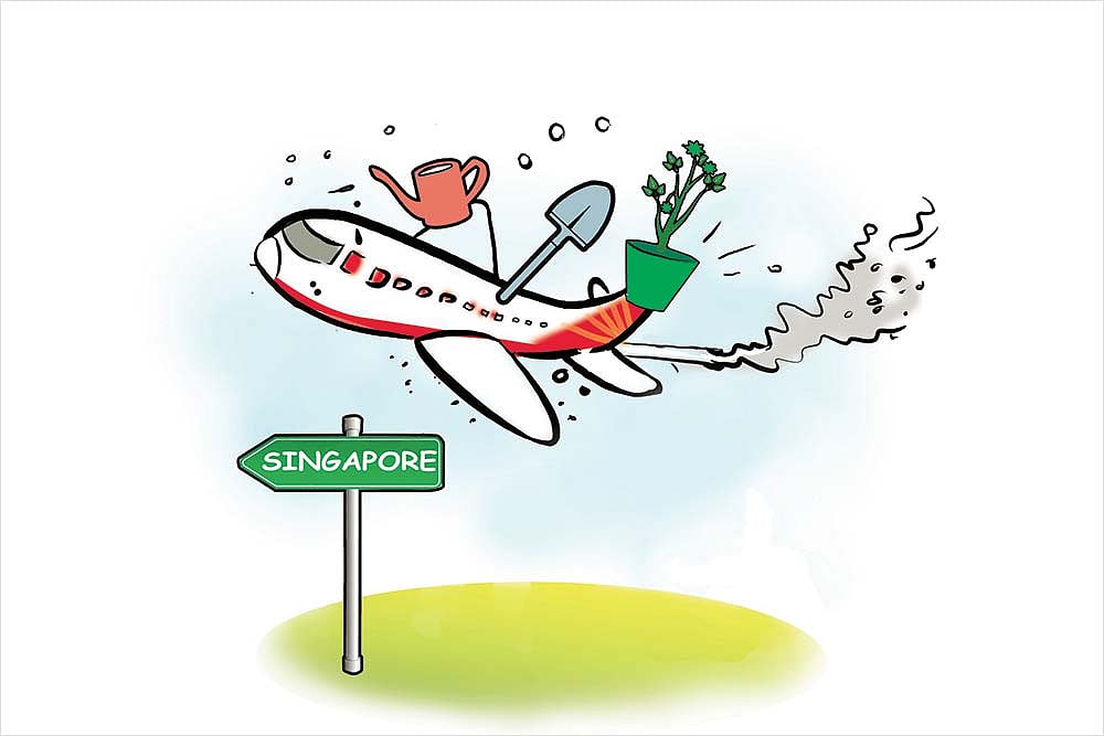 Delhi Gardeners’ Singaporean Eden