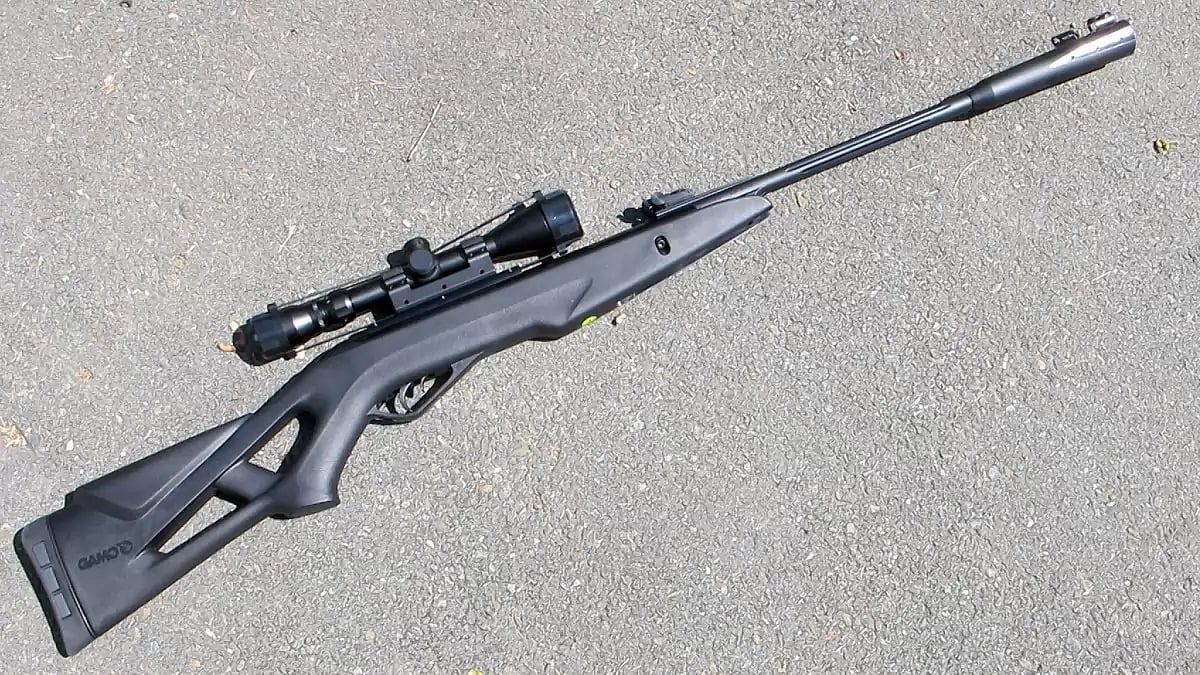 Air Gun