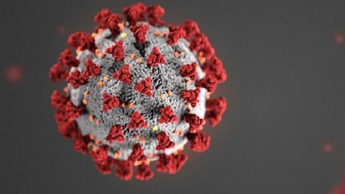 COVID-19 test, covid, covid-19, testing, vaccination, Hawaii