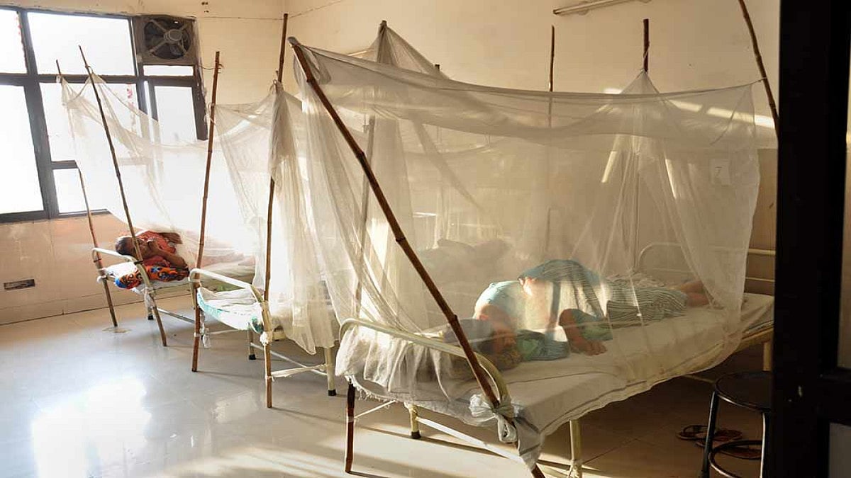 Government Tells Rajya Sabha, It Cannot Be Said That Dengue, Malaria, Kala-Azar Spreading In India