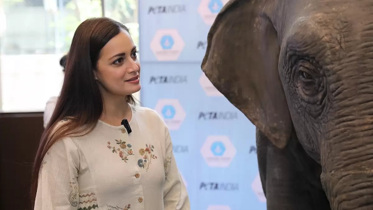 Dia Mirza