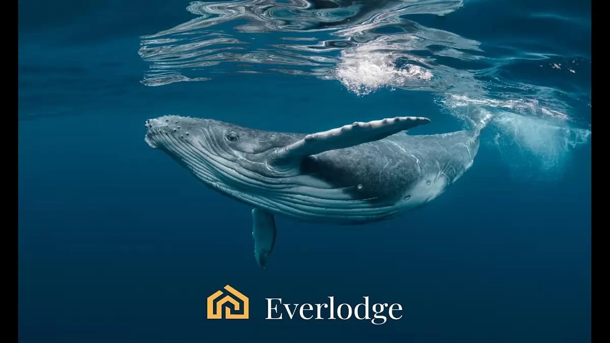 Everlodge 