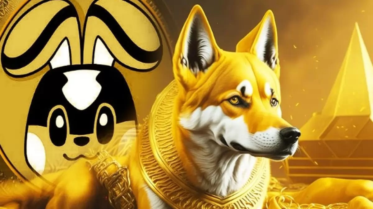 FLOKI Inu