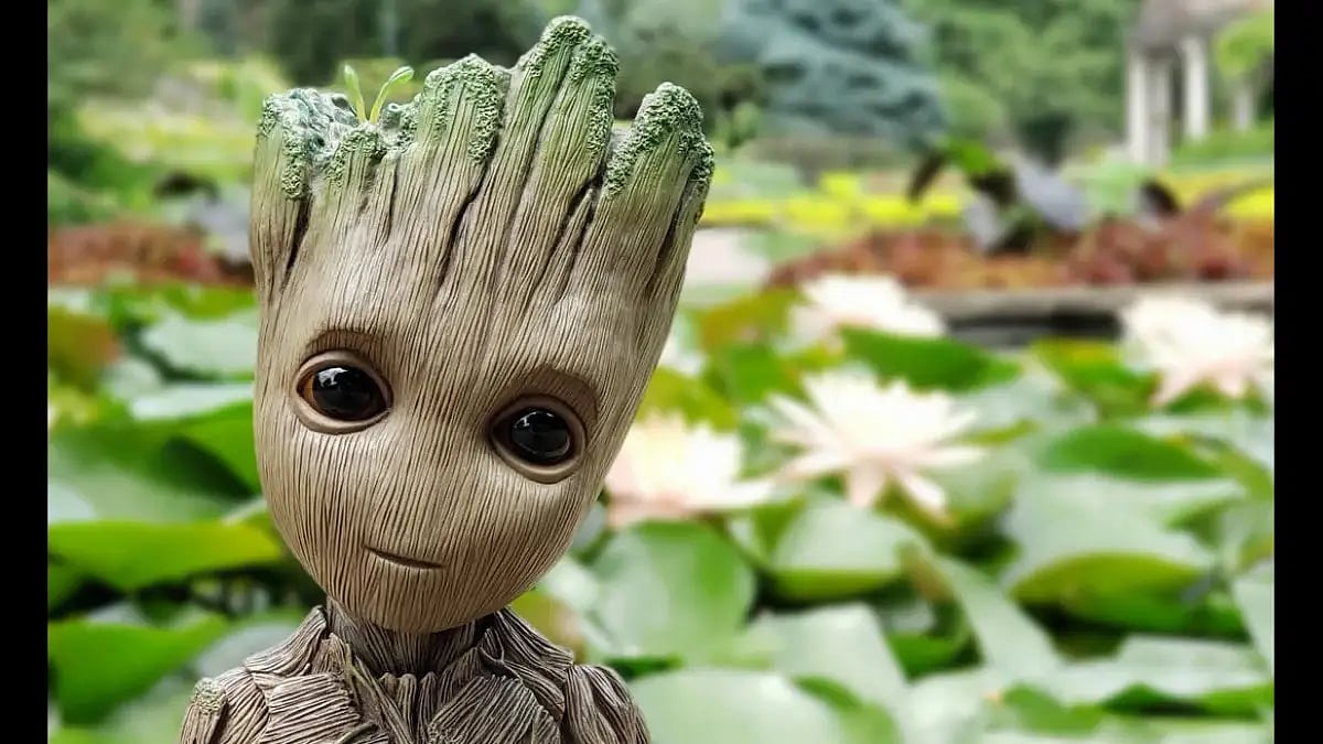 Groot