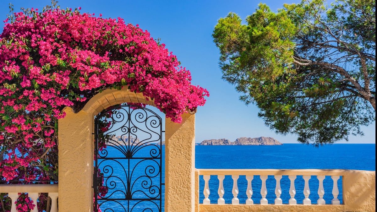 Coastline of the Majorca Island 