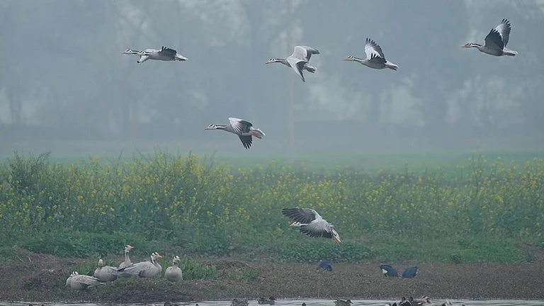 Ramsar Sites - File Photo