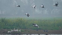 File Photo : Ramsar Sites