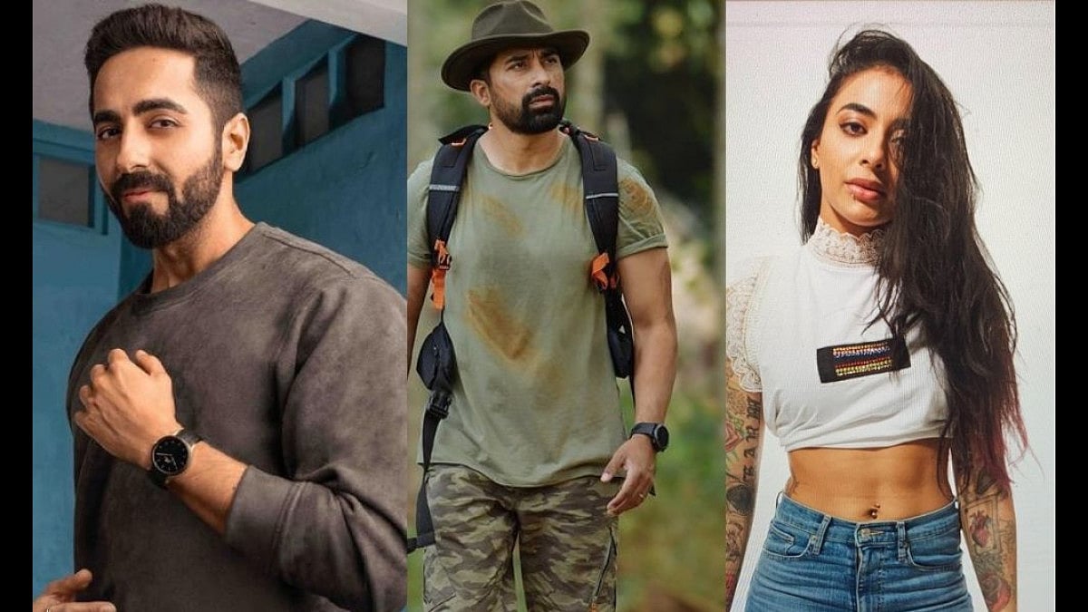 Film and TV actors who participated in 'Roadies'.