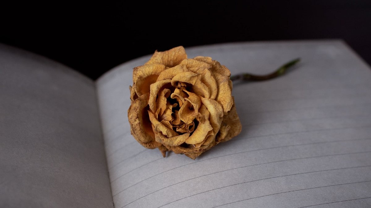 Love and loss