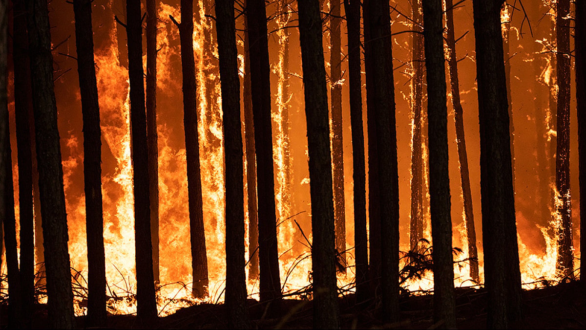 S. Korean Wildfire Destroys 90 Homes, Forces 6,000 To Flee