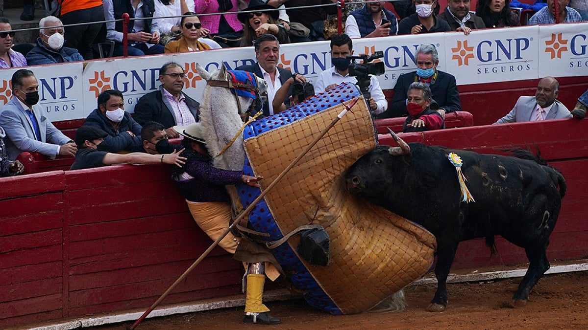 4 Killed When Stands Collapse During Colombian Bullfight