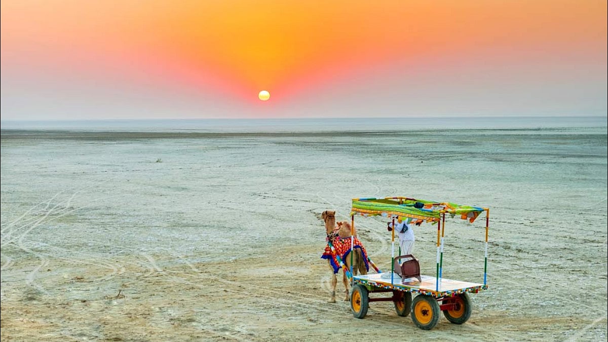 sunset, incredible India, India, sunset in India, Gujarat, camel, rann of kutch, the great rann, Kutch