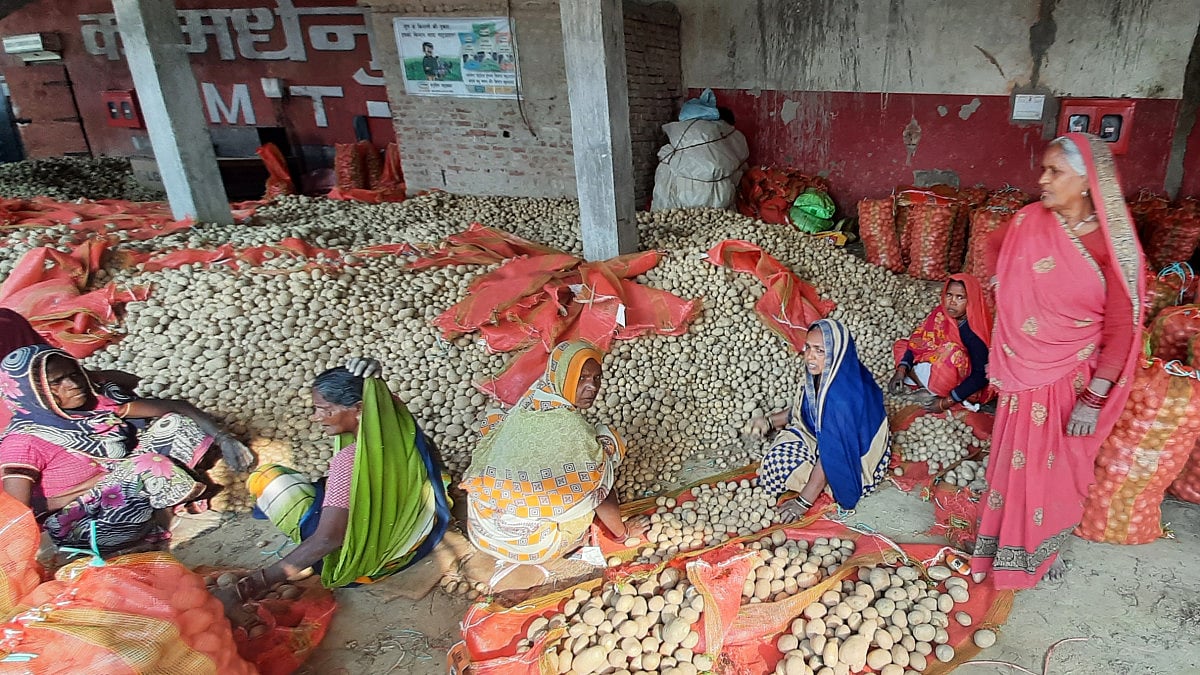 Women working at a cold storage for potatoes in Amethi