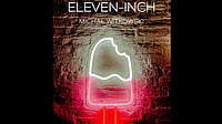 Book Review: Why Imperfections In Literary Characters Make Perfect Sense Eleven-Inch by Michal Witkowski