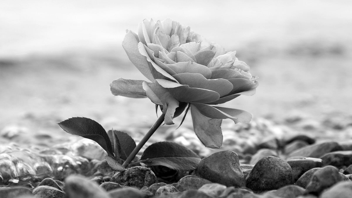 Of quiet goodbyes, departure and global warning.