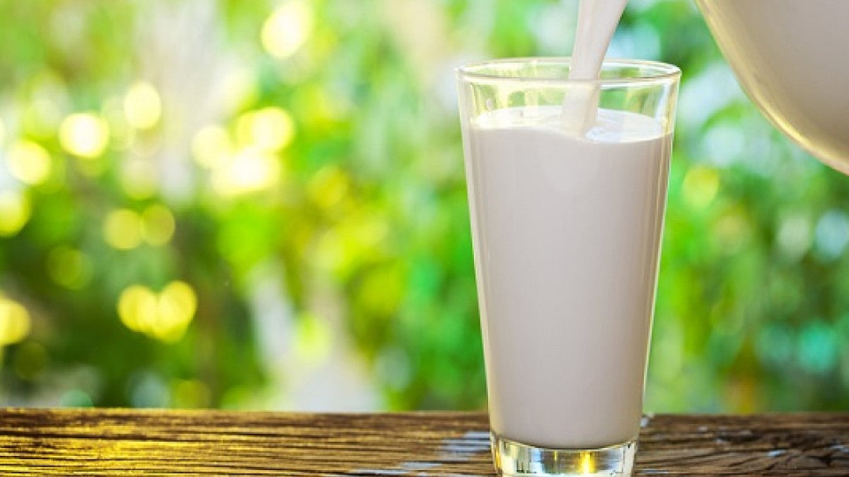 Milk Procured From 'Outside' Not Worth Consuming At Times, Will Check Quality: Goa Minister