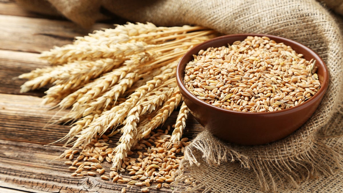Ukraine War Has Put World's Food Security At Risk As Wheat, Fertiliser Supplies Are Hit
