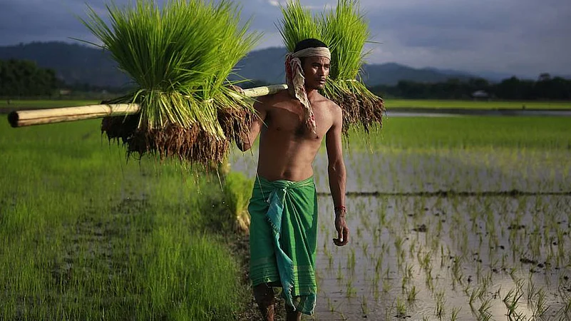 climate resilient seeds released by PM Modi
