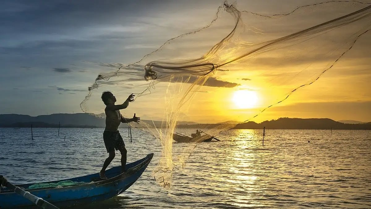 Sri Lankan, sri lanka, fishing, water body, water boarder, indian, india, fish