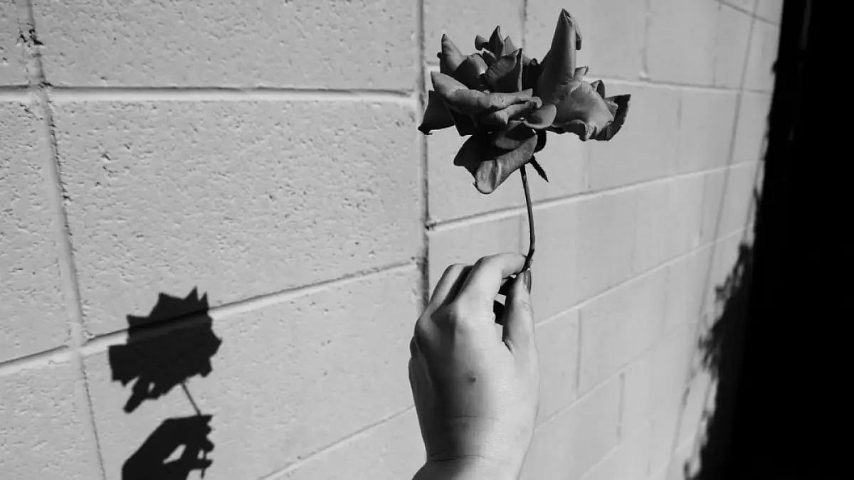 'How To Love Flowers?' and other poems