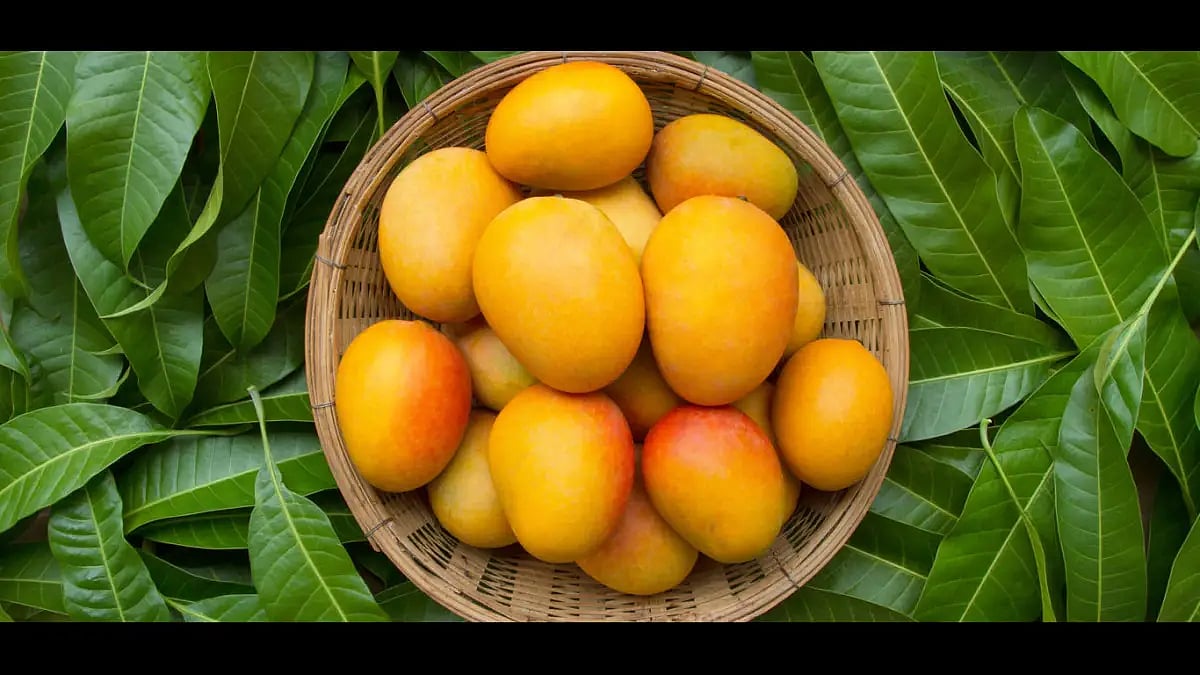 Mango market in Pune.(Representational image)