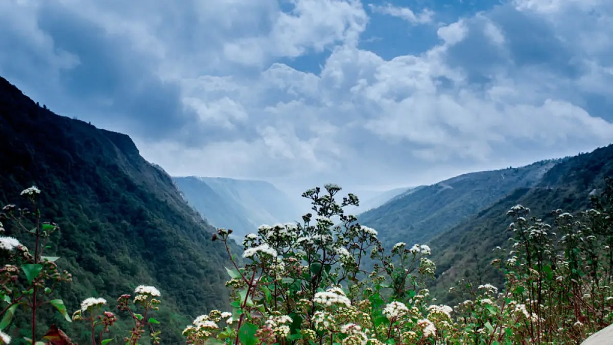 The lush green Shillong Valley 
