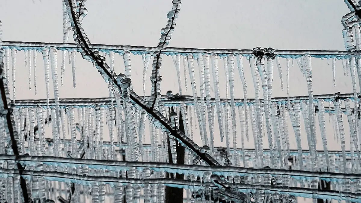 Frost Ices Over French Vineyards