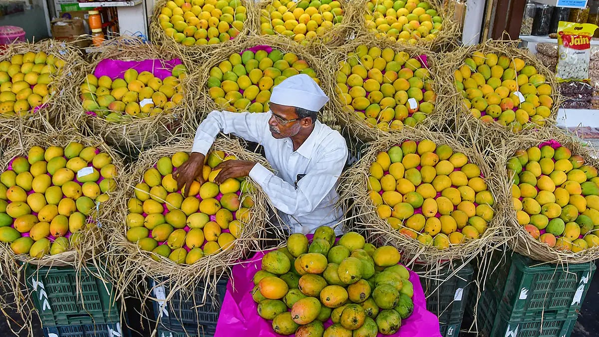 West Bengal Government To Plant 13 Lakh Saplings Of Mango This Year