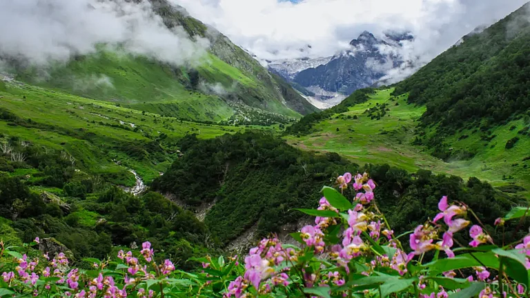 The Valley of Flowers has a rich biodiversity, with over 300 species of flowers - null