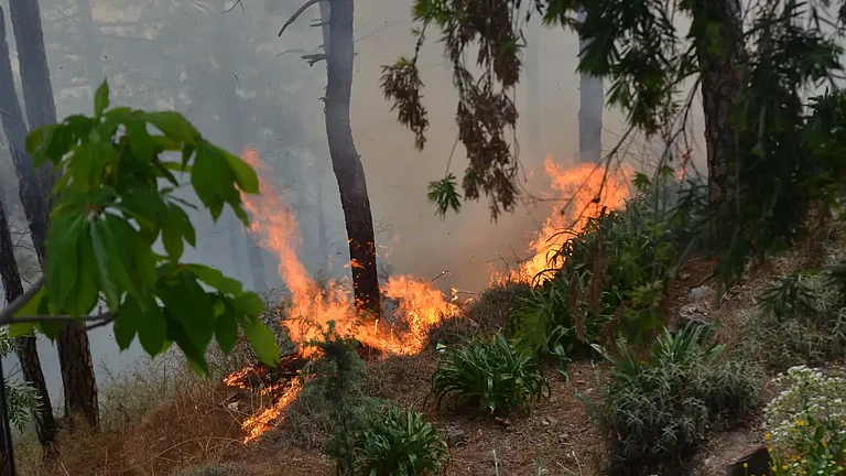 Two Forest Fires Break Out in HP's Dharamshala - File Photo, Representative Images