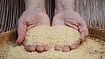 How Food Fortification Causes 'Hidden Hunger' In India Is fortified rice the way to feed hungry Indians?