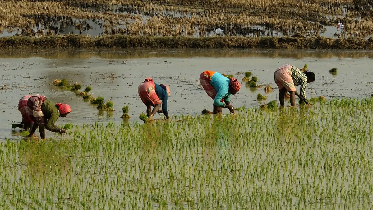 'Vriksh Dindi' Held In Parched Latur; Citizens Told To Plant Saplings