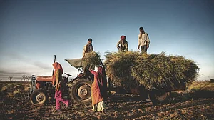 vergreen Revolution becomes absolutely necessary to feed the world in a sustainable manner.