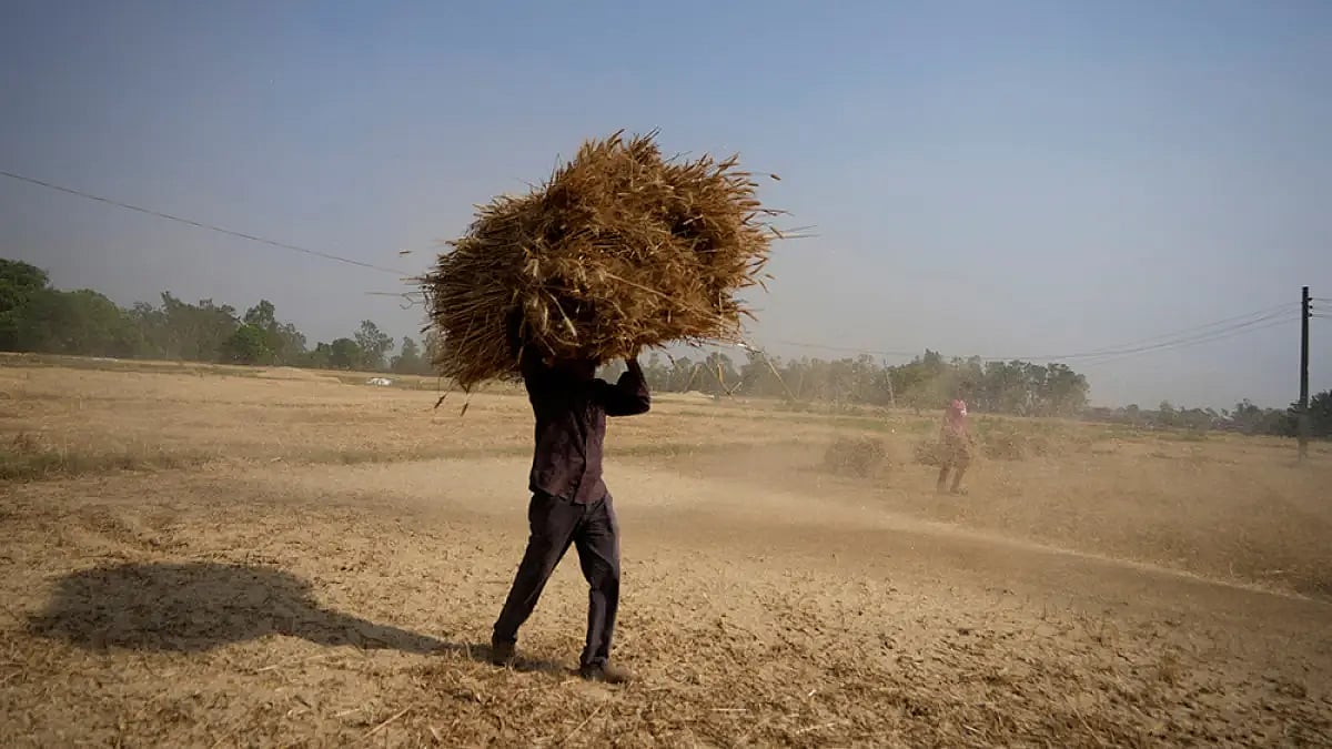 India Facing Wheat Crisis Due To BJP's Faulty Economic Policies: Mamata